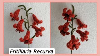 Crochet Fritillaria Recurva  wildflowers in Northwest [upl. by Lopes225]