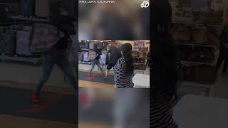 Customer knocks alleged thief to ground at TJ Maxx store [upl. by Chesnut619]