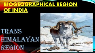 BIOGEOGRAPHICAL ZONES OF INDIA for UPSC  TRANSHIMALAYAN REGION UPSC [upl. by Lindgren]