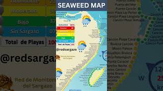 Sargassum Seaweed Map of Mexicos Caribbean Coast released on April 29 2024 mexico seaweed [upl. by Nisen]