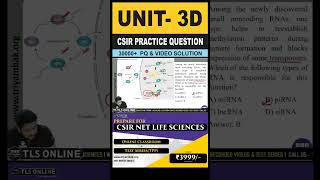 CSIR Practice Question  Unit 3 Fundamental Processes  Topic D Control of gene expression [upl. by Gaige]