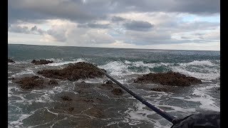 Fishing Kauai Hawaii [upl. by Hannie531]