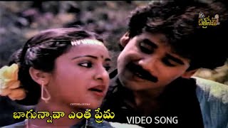 Bagunnava Entha Prema Song  Aranyakanda  Telugu Movie Songs  NagarjunaAshwini telugusongs [upl. by Magnusson679]