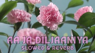 Aa Ja Diljaaniya  Slowed amp Reverb [upl. by Ydniw356]