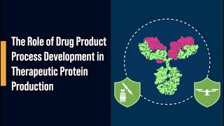 The Role of Drug Product Process Development in Therapeutic Protein Production [upl. by Ellertal978]