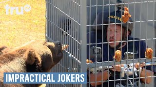 Impractical Jokers  Sals Beastly Surprise Punishment  truTV [upl. by Assirual]