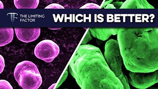 Synthetic vs Natural Anode  Which is Better Deep Dive [upl. by Eitac]