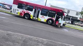 Hawaii HeleOn Bus 253 Route 102 [upl. by Stefan]