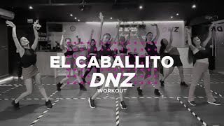 EL CABALLITO  Fariana ft Oro Solido  Coreografía Oficial Dance Workout  DNZ Workout  DNZ Studio [upl. by Astred190]