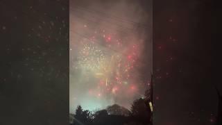 🎆Illuminate the gardens🌟Sheffield 2024 fireworks 💥sheffield fireworks bonfirenight [upl. by Hepzi524]