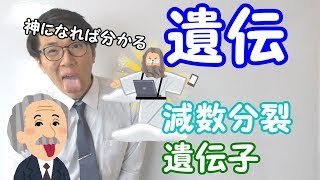 【中学理科】遺伝～神さまの気持ちで理解する～ 24【中３理科】 [upl. by Stinky]