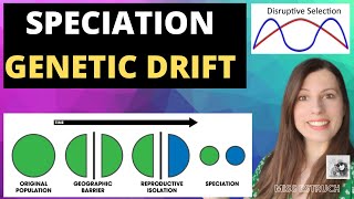 SPECIATION amp GENETIC DRIFT Disruptive selection leads to speciation allopatric amp sympatric [upl. by Black]