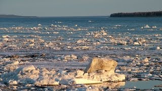 Счастливые люди  Енисей  Весна серия 1  Дмитрий Васюков [upl. by Parent]