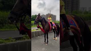 Dhruhi Horse 🐎 Riding  horse horses ghoda horseriding horselover ytvideo shortsfeed dhruhi [upl. by Domph]