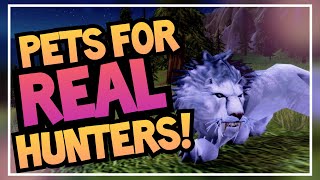 RAREST Obtainable Hunter Pets  Unique Pet Guide Ep 2  World of Warcraft BFA amp Shadowlands [upl. by Amal144]