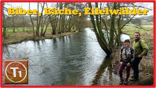 Biber Bäche Eifelwälder  Wandern in Nideggen 27K [upl. by Benyamin]