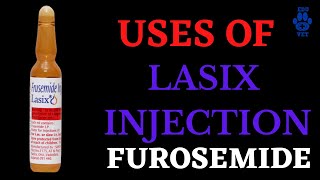 FurosemideThe Lasix Injection Uses [upl. by Lerraj]