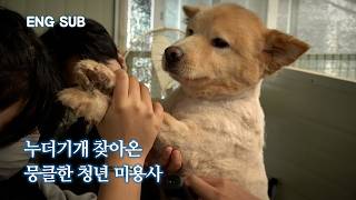 ENG SUB quot가엾은 유기견들용기내 찾아왔어요quot 자립준비청년의 아름다운 만남  반짝이 [upl. by Uolymme823]