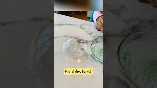 Science experiment 🧪 😀for kids staticelectricity science kids shorts scienceexperiment viral [upl. by Fan]