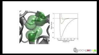 Amino acids structure classification diversity of R groups Interatomic forces [upl. by Tormoria85]