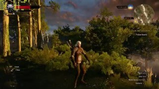 Witcher 3 GTX 960m Gameplay FPS Test [upl. by Dewhurst]