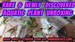 Unboxing  Newly Discovered amp Rare Plants to the Aquascaping amp Fishkeeping Hobby  Han Aquaticscom [upl. by Nahamas129]