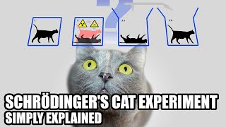 What Is Schrödingers Cat Experiment Simply Explained [upl. by Crissie]