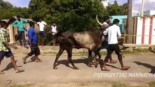 Pudhupettai Manmadhan ThalaThalapathy version [upl. by Gnoud]