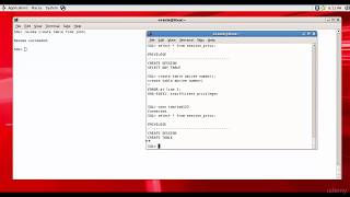 070 Oracle DBA Complete Tutorial  Revoking System Privileges [upl. by Euqitsym]