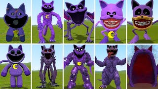 EVOLUTION OF ALL NEW CATNAP SMILING CRITTERS POPPY PLAYTIME CHAPTER 3 In Garrys Mod [upl. by Ybbob]