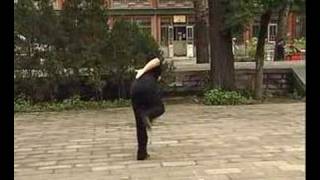 Yin Baguazhang  long 8 palms form [upl. by Naired]