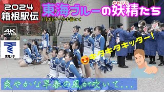 【4K】2024 箱根駅伝 『東海ブルーの妖精たち』東海大チアリーディング キタキタキッター！ [upl. by Kobe]