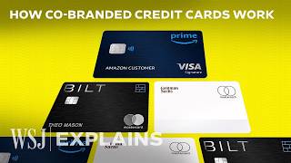 Why Banks Bet Big on Risky Credit Card Partnerships  WSJ [upl. by Ahserb434]