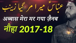 Abbas as Mera Mar Gaya Zainab sa Noha Irfan Hussain Banglore noha 2017 18 [upl. by Gerry]