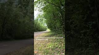 Lake Minnetonka Path side [upl. by Llenrev979]