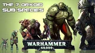 List of all Ork Species in Warhammer 40K Universe [upl. by Vevina375]