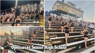 Opelousas Senior High School quotTigerquot Marching Band • “Highlightsquot  LCCP vs Opelousas Sr High 2024 [upl. by Cyndy]