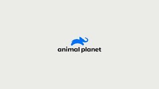 Animal Planet Global Rebrand 2D Animation [upl. by Devonna]