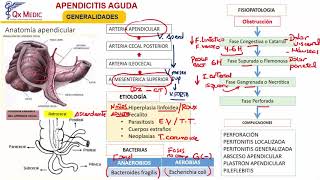 Apendicitis Aguda [upl. by Lacym]