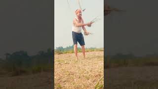 🙏 balamua Kisan🌹🌹 love ❤️bhaktisong ❤️Sharda Sinha❤️viral short❤️lalitnarayanjha 🙏old is gold [upl. by Assylla]