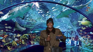 INSIDE CANADA BIGGEST AQUARIUM  “RIPLEYS AQUARIUM of CANADA 🦈🐟” [upl. by Oleg]