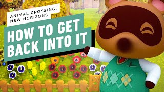 Animal Crossing New Horizons  How to Get Back Into It Before New DLC [upl. by Padegs210]