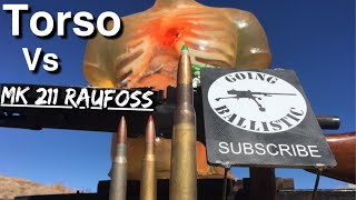 Torso vs Mk 211 Raufoss Round [upl. by Adnahc]