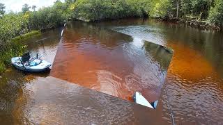 Loxahatchee River Kayak Cruise and Fishing [upl. by Ila]