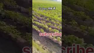 वेज बिरयानी बनाकर गांव में खिलाया सबको 🔥💞biryani vegbiryani village ytshorts viralshorts 👍🏞️ [upl. by Gnilrad]