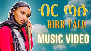 ብር ጣሉ Birr Talu new music video music comedy [upl. by Aliek]