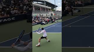 Grigor Dimitrov with the beautiful inside out winner tennis atp usopen [upl. by Antony401]