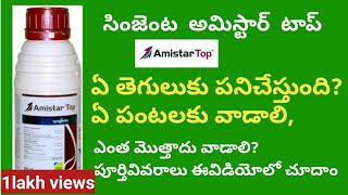 amistar top syngenta fungicide full details in telugu  BB agriculture telugu [upl. by Britt306]