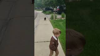 Rottweiler puppy following his best friend rottweiler dogtraining schutzhund puppy workingdog [upl. by Strohben]