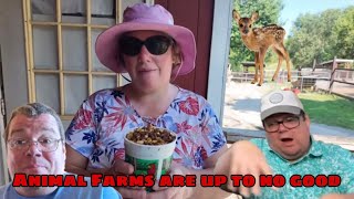 Animal Farms Are Up To No Good [upl. by Nilra]